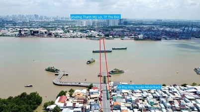 Quy hoạch hai cầu tỷ USD Cát Lái và Long Hưng nối TP.HCM