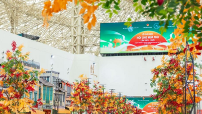 Pameran Musim Gugur 2025: Panduan untuk menemukan acara di Hanoi