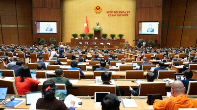 A Assembleia Nacional discutiu como lidar com os problemas que surgem na reorganização do aparelho.