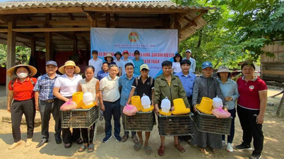 Giảm nghèo bền vững, động lực phát triển kinh tế-xã hội địa phương