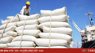 Tăng cường hợp tác thương mại gạo giữa Việt Nam và Singapore