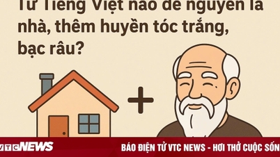 Qual palavra vietnamita mantém o significado original "casa" e acrescenta "cabelo branco, barba prateada"?