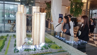 Lý giải nguyên nhân thị trường nhà Đà Nẵng khởi sắc