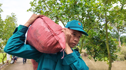 Sentimen musim banjir
