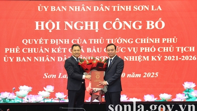 Công bố Quyết định của Thủ tướng Chính phủ phê chuẩn kết quả bầu chức vụ Phó Chủ tịch UBND tỉnh