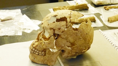 Découvertes archéologiques choquantes à Trang An
