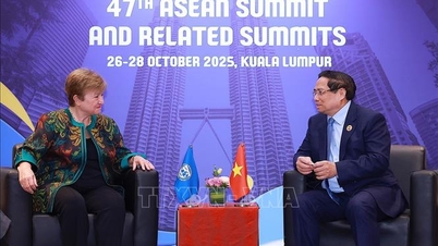 ファム・ミン・チン首相が第47回ASEAN首脳会議で国際指導者と会談