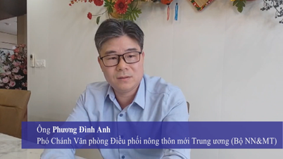 Ulasan mengenai draf dokumen Kongres Parti Kebangsaan Ke-14: Kepercayaan penuh kepada Vietnam yang kuat dan makmur