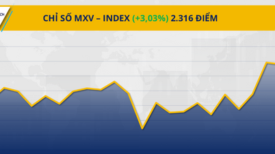 Piața mărfurilor: Indicele MXV depășește 2.300 de puncte