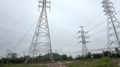 Laos'tan Nghe An'daki güç iletim projesi kümesinin Kasım 2025'te tamamlanması hedefleniyor