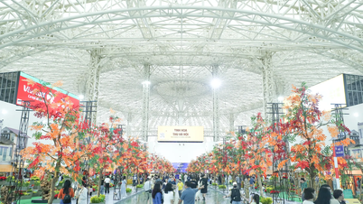 L'espace unique de Hanoi à la première Foire d'Automne en 2025