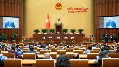 Đề xuất phạm nhân được hiến mô, bộ phận cơ thể, lưu trữ trứng, tinh trùng