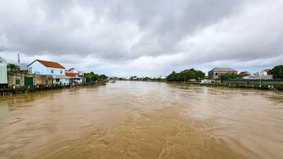 Översvämningsvarning vid floden Dinh Ninh Hoa