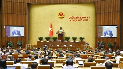 범죄경력정보 제공 관련 일부 규정 보완