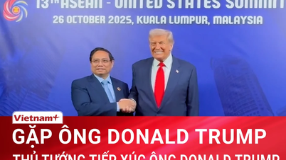 Perdana Menteri Pham Minh Chinh bertemu dengan Presiden Donald Trump
