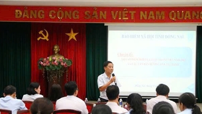 ធានារ៉ាប់រងសង្គមដុងណៃ៖ បង្កើតក្រុមការងារដើម្បីជំរុញការប្រមូល និងកាត់បន្ថយចំនួនប្រាក់ធានារ៉ាប់រងសង្គមយឺត
