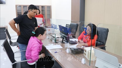 Viên chức ‘chân trong, chân ngoài’: Phân định rõ lĩnh vực được làm