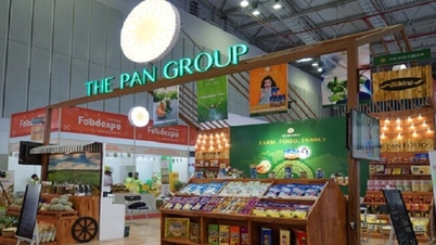 Mất 147 tỷ đồng lãi từ liên kết, PAN Group "hụt hơi", lợi nhuận quý giảm 22% so với cùng kỳ
