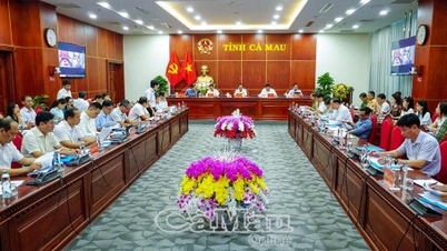 Tập trung thực hiện tốt kế hoạch Ngày hội Cua Cà Mau 2025