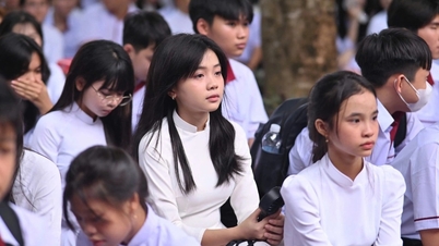 Vorschlag zur Eröffnung eines Doppelabschlussprogramms zwischen Vietnam und Australien auf High-School-Ebene