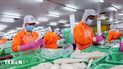 Gezamenlijke verklaring Vietnam-VS: versterking van positie in de mondiale toeleveringsketen