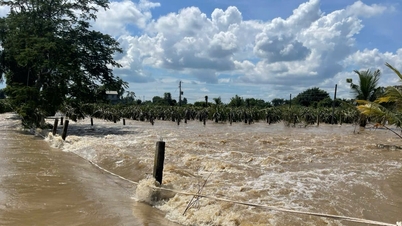 Güneydoğu Lam Dong'un birçok bölgesini şiddetli yağışlar etkiledi, Luy Nehri için sel uyarısı yapıldı