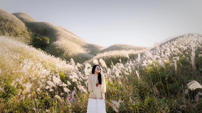 บินห์เลียว “สวรรค์หญ้ากก” คึกคัก นักท่องเที่ยวรอถ่ายรูปสวยๆ หลายชั่วโมง