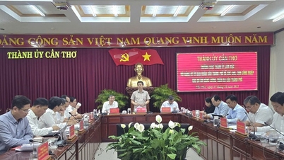 Cần Thơ tăng tốc phát triển khu công nghiệp: Hướng tới trung tâm công nghiệp - năng lượng vùng ĐBSCL