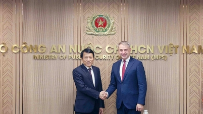 Vietname e Polónia reforçam cooperação no domínio da segurança cibernética