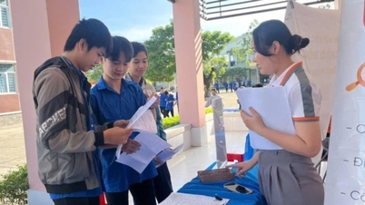 Tay Ninh implementează obiective duble de securitate socială și dezvoltare a resurselor umane