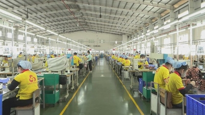 Kinh tế TP. Hồ Chí Minh khởi sắc, doanh nghiệp đẩy mạnh sản xuất cuối năm