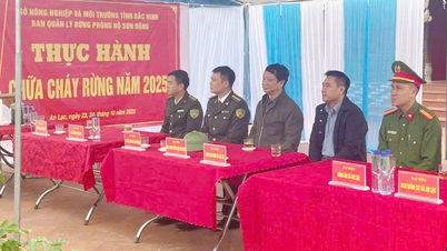 Lembaga Pengurusan Hutan Perlindungan Son Dong mengamalkan rancangan memadam kebakaran hutan