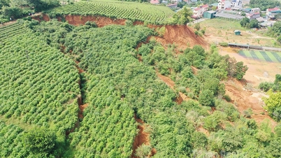 Banyak keretakan dan tanah runtuh baru di bukit Vi-ba di kumpulan kediaman 10 dan 11, Wad An Tuong