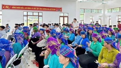सोन ला प्रांत के लोगों के लिए कानूनी सहायता
