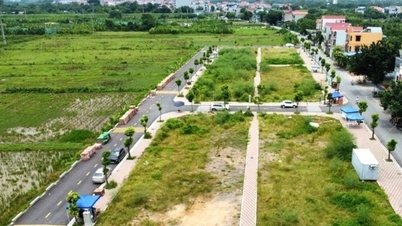 Auction land market cools down after crazy fever more than a year ago