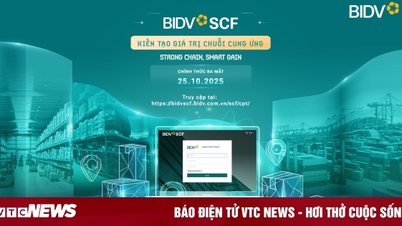 BIDV SCF - uma solução para criar valor na cadeia de suprimentos para empresas
