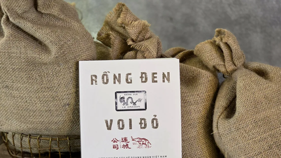 Aprenda sobre os empresários vietnamitas da primeira metade do século XX por meio de dois símbolos: "dragão negro" e "elefante vermelho"