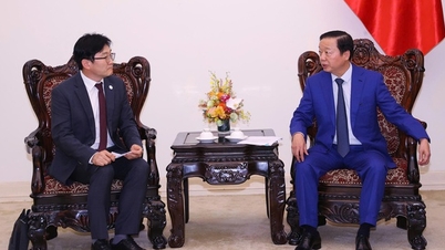 Mekong Deltası'nda merkezi su temini projelerinin kolaylaştırılması