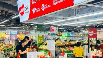 Vändpunkt för uppgradering och utsikter för internationella kapitalflöden i Vietnam