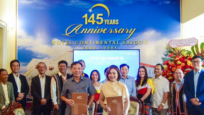 Mengembangkan pariwisata di Son Tay Thuong yang terkait dengan pelestarian budaya