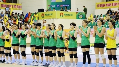 VTV Binh Dien Long An drar sig ur VM i volleyboll för damer 2025.
