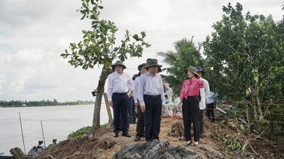 Provincial Party Secretary - Tran Van Lau surveyed the landslide at Thanh Long islet