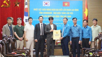 Promoting cooperation between the Labor Federations of Bac Ninh and Chungnam provinces (Korea)
