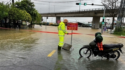 Da Nang varnar för 113 översvämmade och trafikbegränsade platser