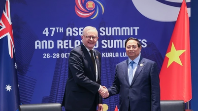 Promovarea cooperării multilaterale dintre Vietnam, Australia și Federația Rusă