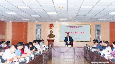 Comitetul Cultural-Social al Consiliului Popular Provincial Nghe An revizuiește politicile de protecție socială