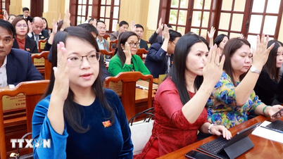 Stop het investeringsbeleid voor civiele projecten van de luchthaven van Phan Thiet onder BOT-formulier