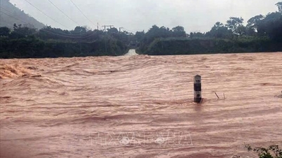 Pemerintah diminta untuk fokus pada penanggulangan dan penanggulangan dampak banjir di wilayah Tengah.