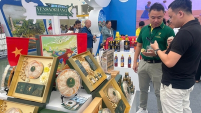 Inti sari spesialisasi regional bertemu di Pameran Musim Gugur pertama - 2025