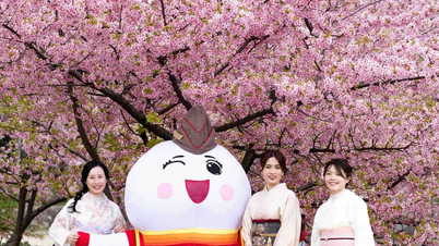Vietjet đồng hành cùng Lễ hội Việt Nam 2025 tại Nagoya, Nhật Bản